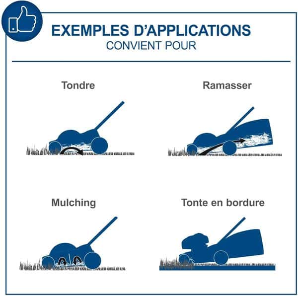 Scheppach Tondeuse à Gazon sans Fil BC-MP430-X 20V Brushless | Largeur de Coupe 43cm | pour 600-700 m2 | Hauteur de Coupe de 25-75mm | Panier 50L | avec 2X 4Ah Batterie et Chargeur Double