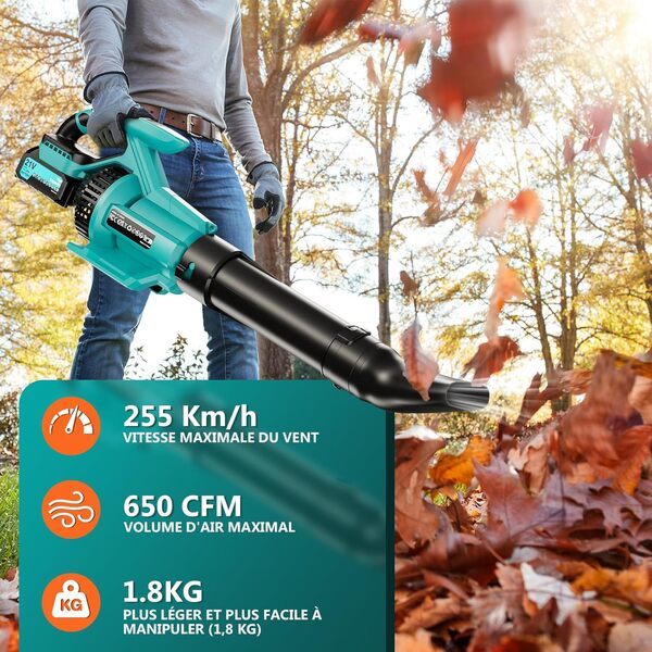 Olubfdh 21V Souffleur à Feuilles 255Km/h 1070m³/h, Max 38000RPM, Souffleur de Feuilles électrique 3 Vitesses avec écran LCD, 2×4.0Ah Batterie pour Le Jardin, l'entretien du Gazon, Le déneig(Bleu)