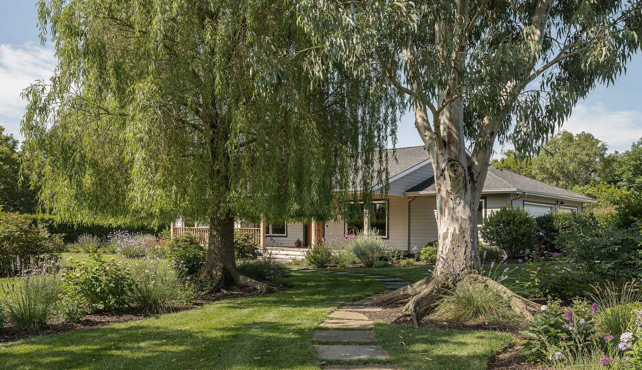 Les dangers des arbres trop proches de la maison