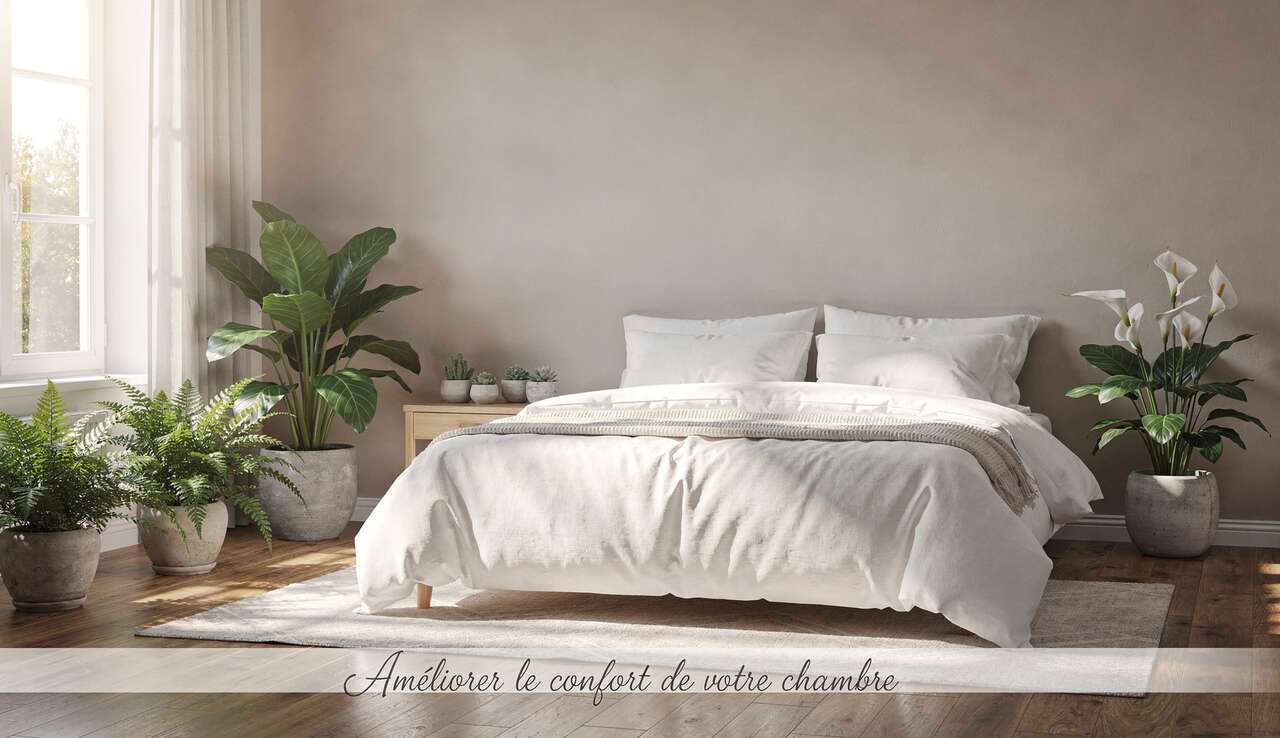 Int&eacute;grer des plantes pour assainir et apaiser l'espace