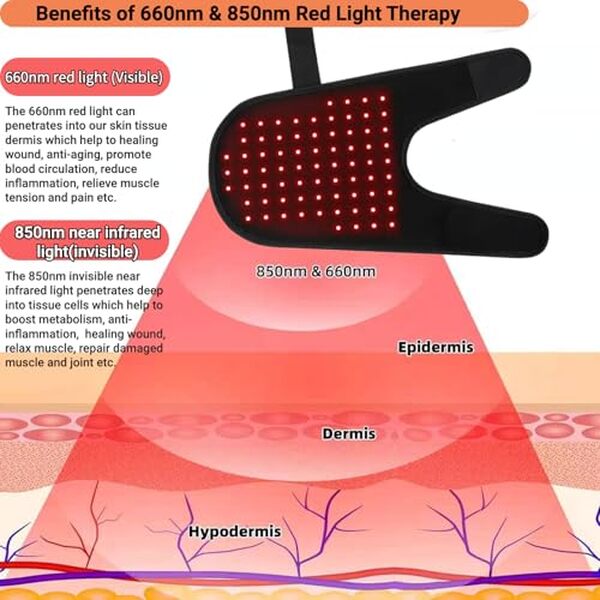 Découvrez notre test du modèle infrarouge 660nm/850nm de ceinture de luminothérapie rouge pour animaux et ses avantages pour le bien-être de votre compagnon