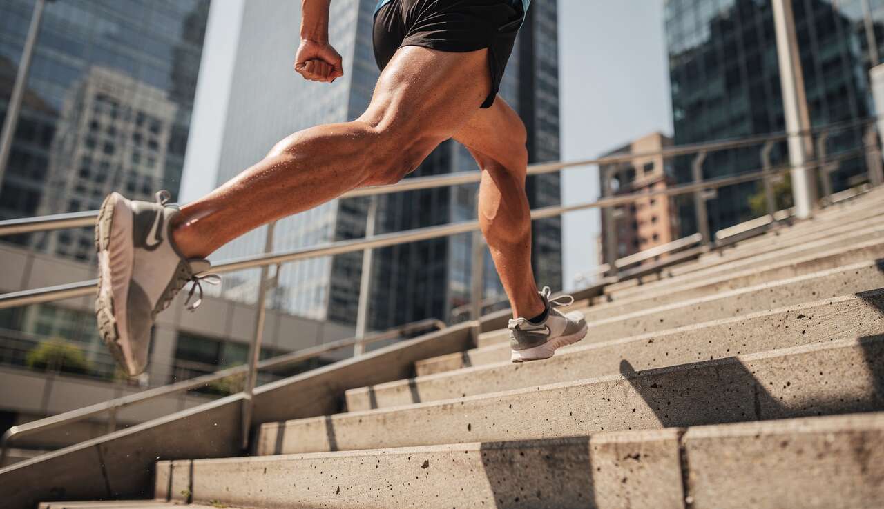 Quels muscles sont sollicit&eacute;s lors de la mont&eacute;e des escaliers