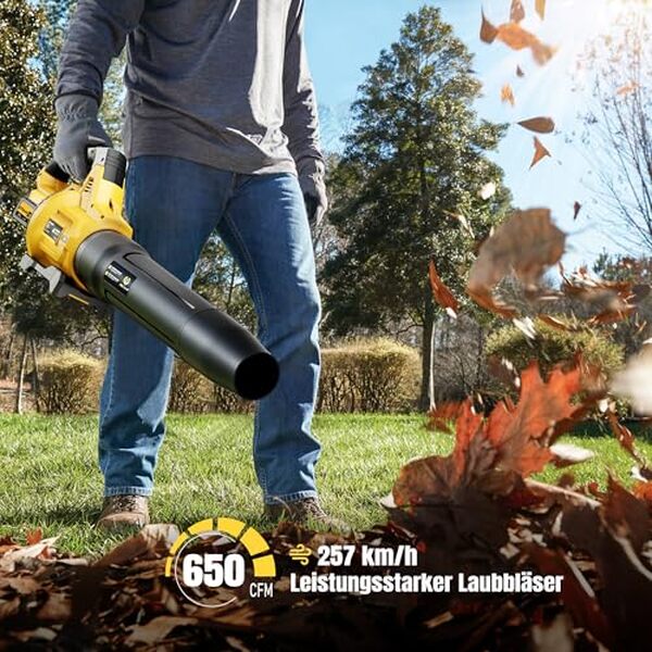 Découvrez notre test détaillé du souffleur électrique GEVEELIFE 20 V. Puissance, autonomie, efficacité : tous les critères pour choisir le meilleur souffleur de jardin. 