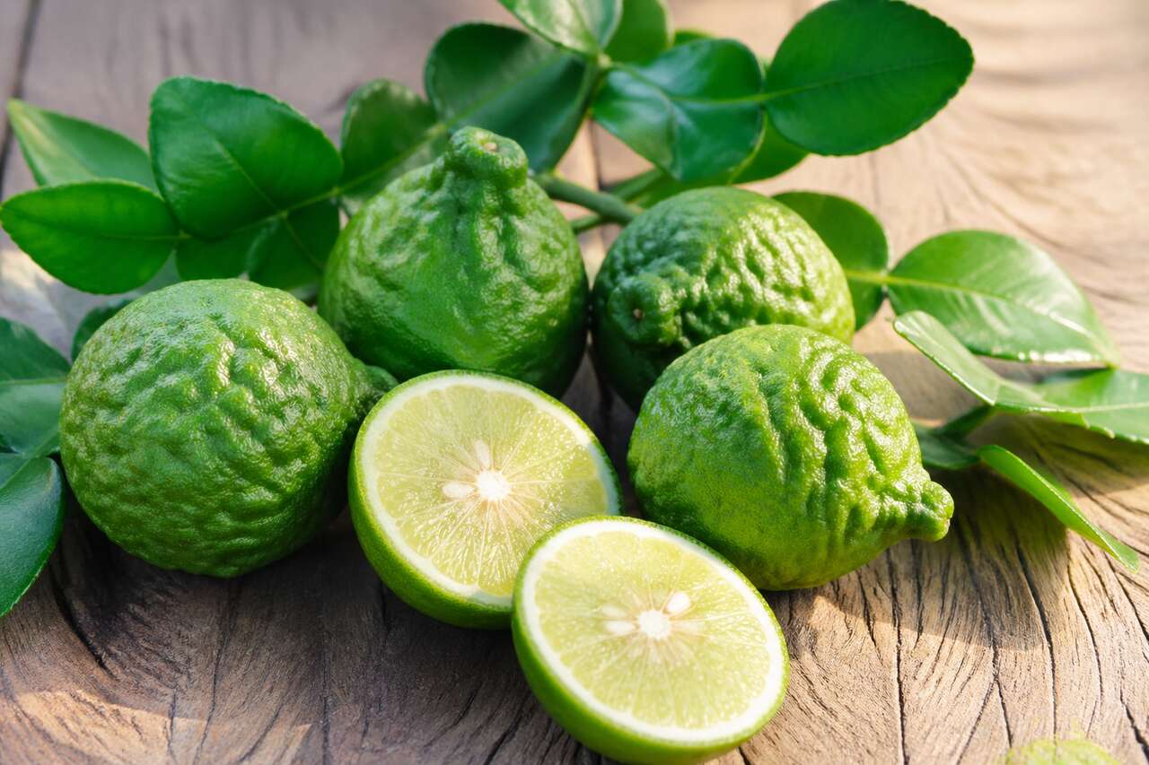 Qu'est-ce que la bergamote ?