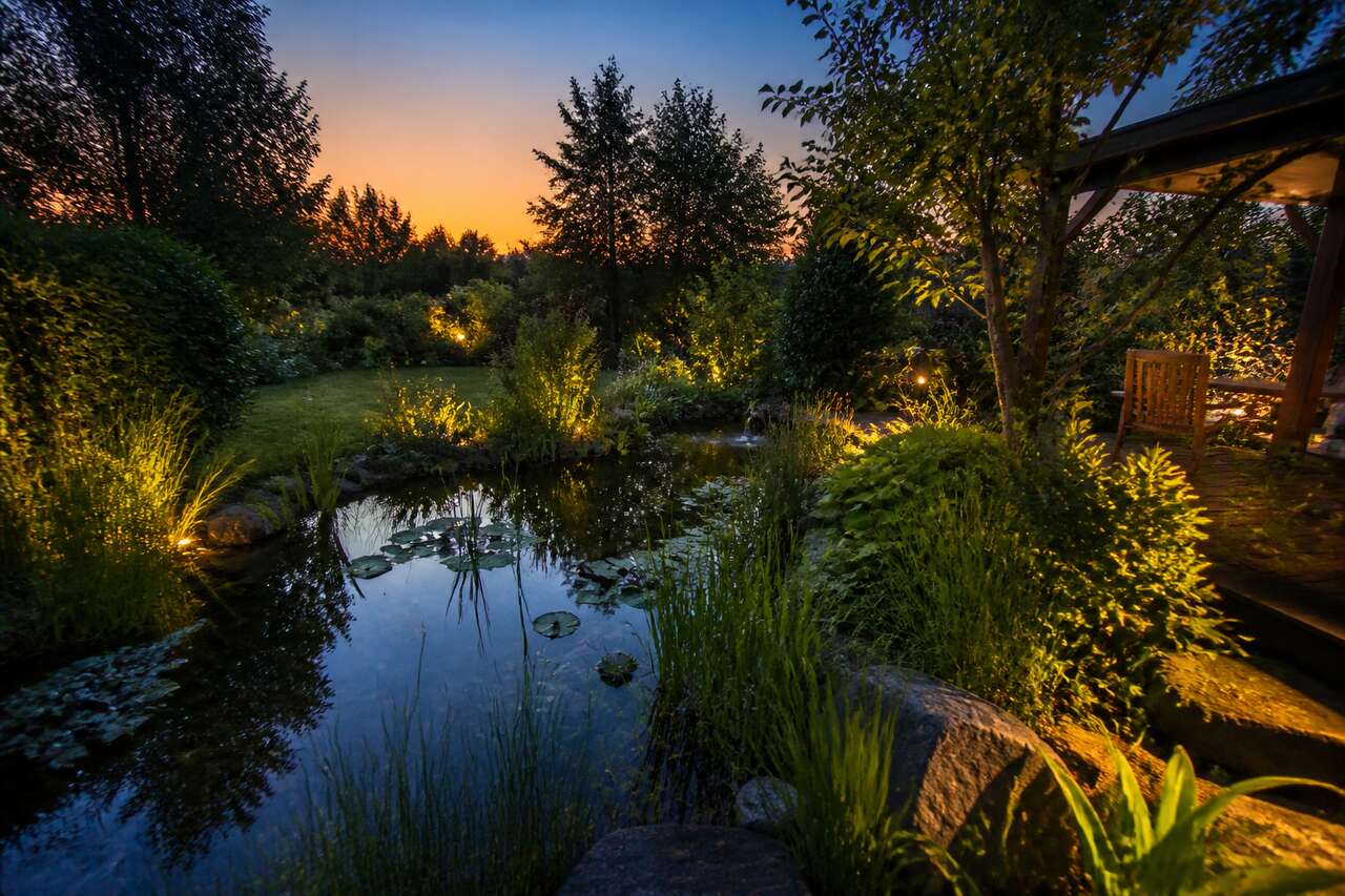 Principales essences à éviter dans votre jardin